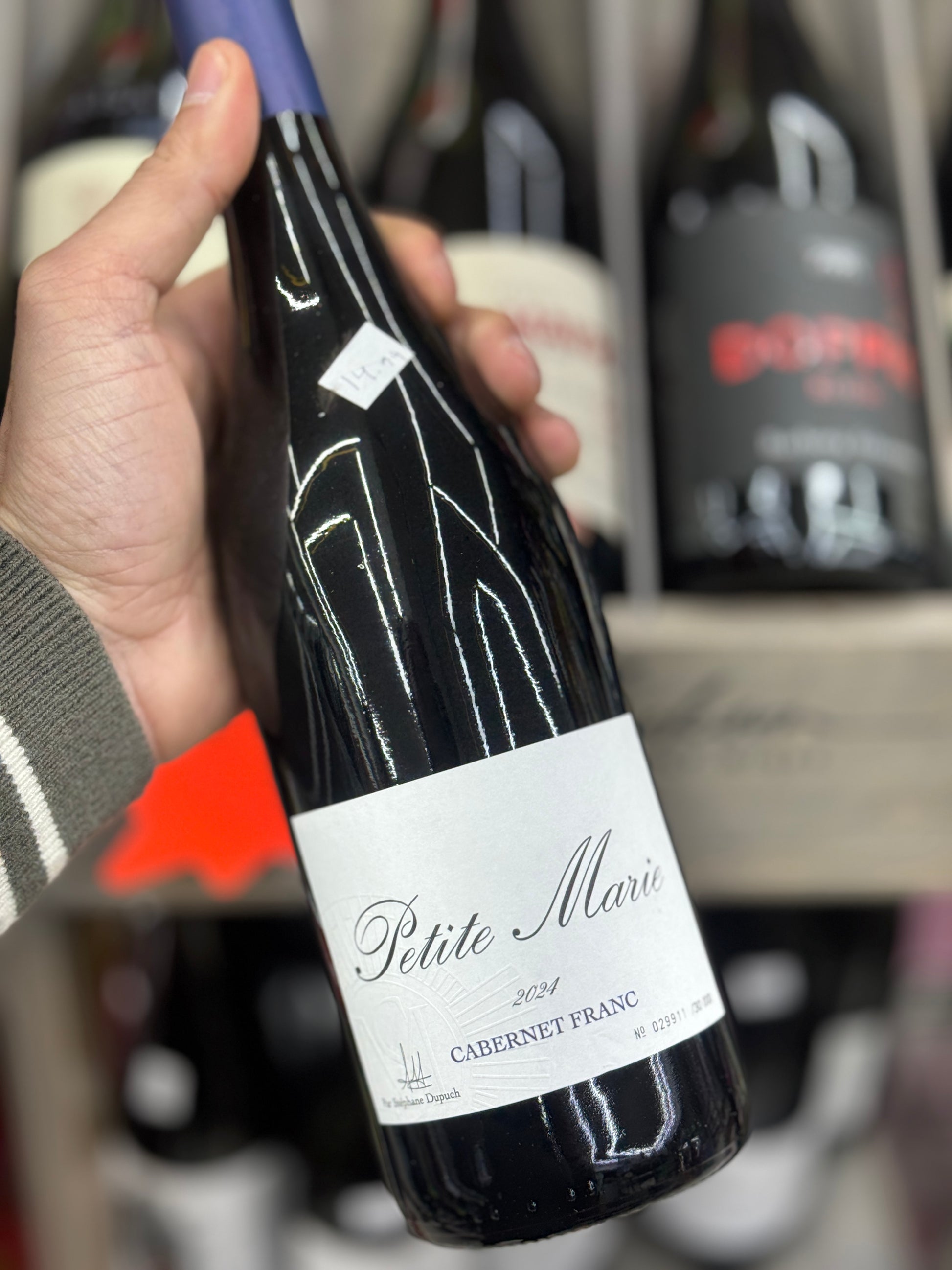 Pétite Marie Cabernet Franc 2021 – Fresh Bordeaux Red by Château Sainte-Marie