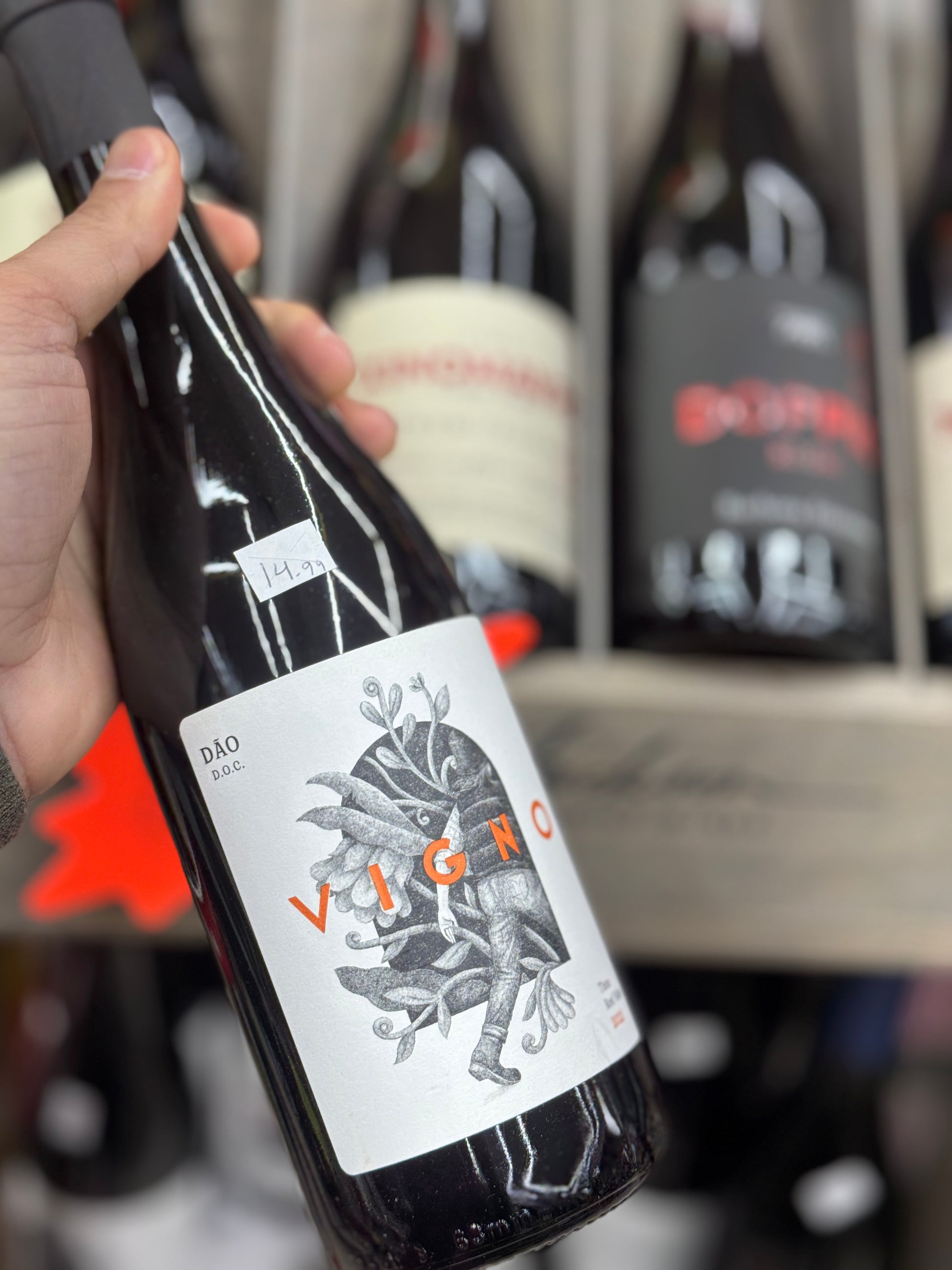 Freire Lobo Vigno Tinto Dão – Elegant Portuguese Red Blend